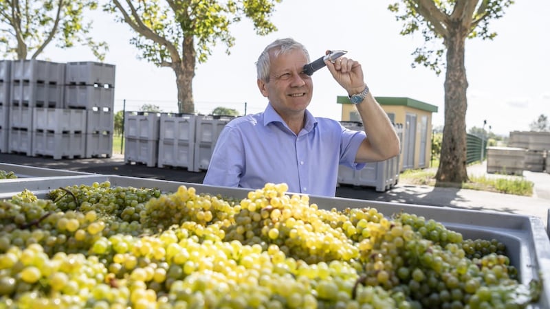 Master cellarer Michael Rethaller is responsible for the quality of the wines and also for 72 employees. (Bild: Weinkellerei Lenz Moser)