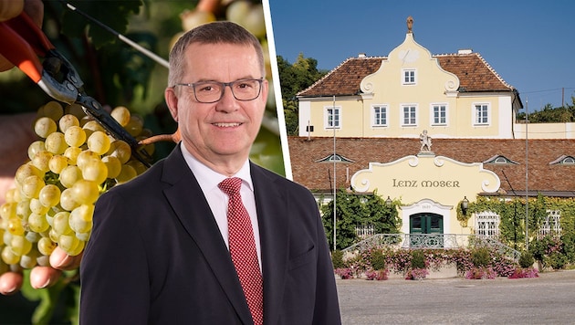 Aus der Insolvenzmasse heraus kaufte die VOG 1986 die Weinkellerei Lenz Moser, die pro Jahr rund zehn Millionen Flaschen abfüllt, wie Andreas Pirschl (Bild) verrät. (Bild: Krone KREATIV/Weinkellerei Lenz Moser (2), VOG AG)