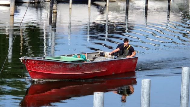 Professional fishermen are not facing easy times. (Bild: Landwirtschaftskammer)