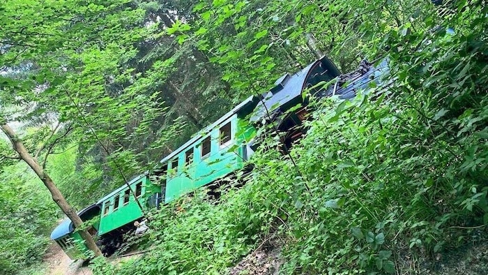The derailed wagons