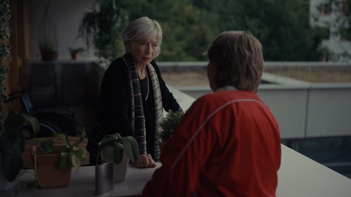 Charmingly resolute characters, an excellent acting duo and plenty of smart situation comedy.