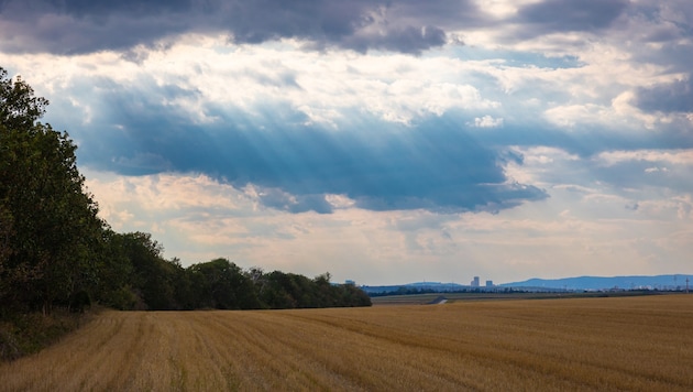 It was already warmer than average in spring this year, and the situation looks similar in late summer. (Bild: Alexander Jeglitsch - stock.adobe.com)