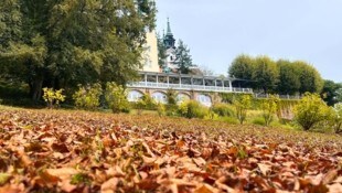 Lokalaugenschein am Donnerstagnachmittag am Linzer Pöstlingberg. Der Fotograf marschierte für ...