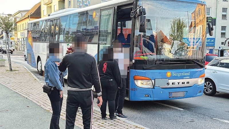 Scuffle at the bus stop: a passenger hit the bus driver (51) because he didn't want to buy a ticket. (Bild: Christian Schulter, Krone KREATIV)