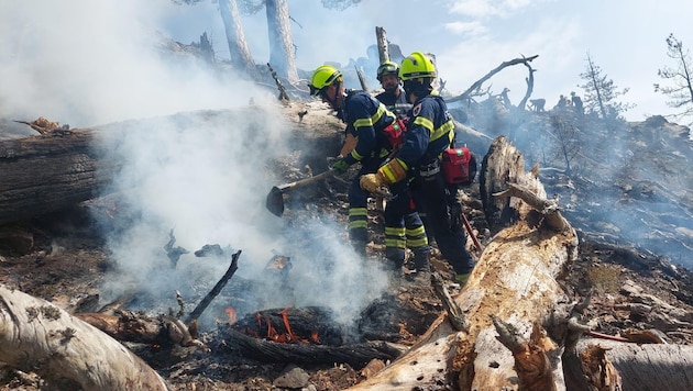 Die Florianis kämpften bei extremer Hitze gegen die Flammen. (Bild: NÖ Landesfeuerwehrverband)