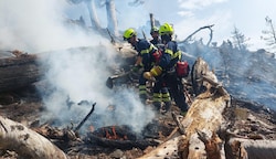 Die Florianis kämpften bei extremer Hitze gegen die Flammen. (Bild: NÖ Landesfeuerwehrverband)