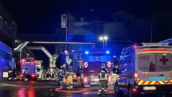 Rund hundert Einsatzkräfte waren vor Ort, um den Brand einzudämmen. (Bild: ZOOM Tirol)