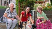Bewohnerin Christine Scheiner mit Besitzerin Vera Kainz und Hunden „Rory“, „Peet“ und „Alvi“ ...