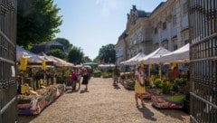 Die Gartenlust im Schloss Halbturn lockte viele Garteninteressierte.  (Bild: Charlotte Titz)