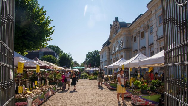 Die Gartenlust im Schloss Halbturn lockte viele Garteninteressierte.  (Bild: Charlotte Titz)