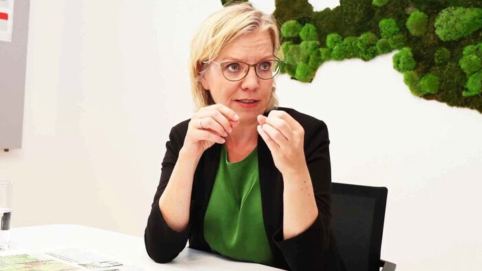 In Sachen Energiewende sieht Gewessler das Burgenland auf einem guten Weg. Es gebe aber noch ...