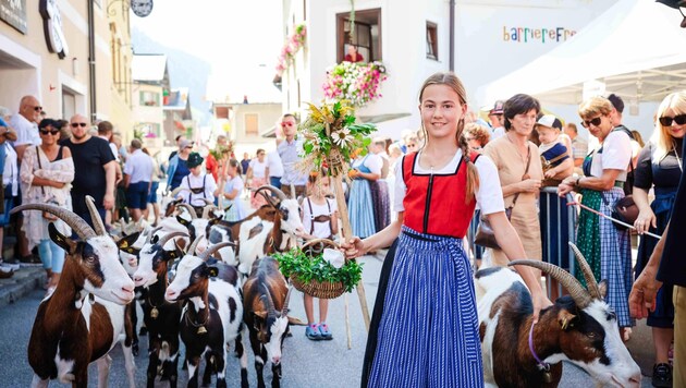 Auch Ziegen und Pferde durften gestern auf die Straßen der Pinzgauer Gemeinde. Jung und Alt kamen in Dirndl und Lederhose. (Bild: Scharinger Daniel)