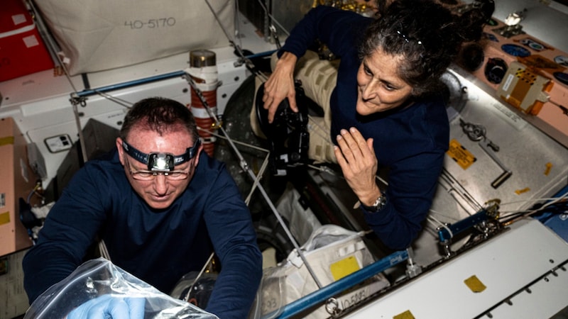 Butch Wilmore and Suni Williams on board the ISS (Bild: AP)