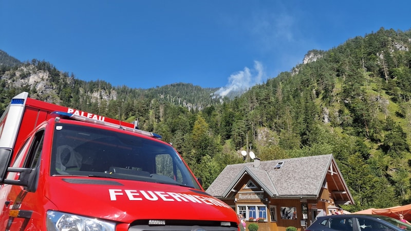 Ein Waldstück brennt in Palfau (Bild: FF Palfau)