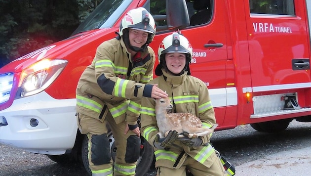 The firefighters rescue the prepared fawn from the banks of the Fritzbach stream. (Bild: Freiwillige Feuerwehr Pfarrwerfen)