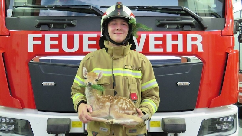 Die Floriani auf Pfarrwerfen kümmern sich um das ausgestopfte Jungtier. (Bild: Freiwillige Feuerwehr Pfarrwerfen)