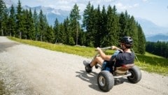 Bergab lieferten sich zwei betrunkene Männer ein Rennen. Als einer den anderen überholte, stürzten beide mit ihren Mountaincarts (Symbolbild). (Bild: stock.adobe.com)