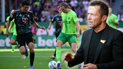 Min-jae Kim (l.) bekommt kein gutes Zeugnis von Lothar Matthäus. (Bild: APA/EVA MANHART/AFP/Tobias SCHWARZ)