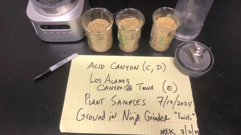 Plant samples were ground and analyzed for the study. (Bild: APA/AP/Michael Ketterer)