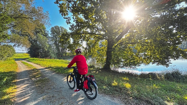 Radfahren im Südburgenland gleicht einer wunderschönen Entdeckungsreise – einfach zum Genießen.   (Bild: Wallner Hannes)