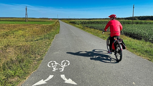 Crash while e-biking. (Bild: Wallner Hannes)