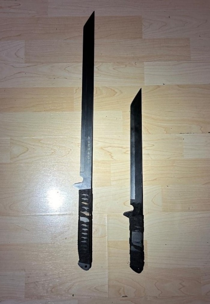 These two machetes were seized.