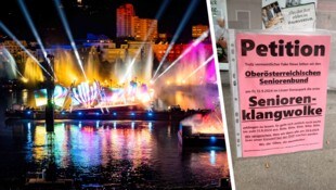 Das neueste Fake-Plakat (re.) – diesmal in Form einer Petition an den Seniorenbund –war in den ...