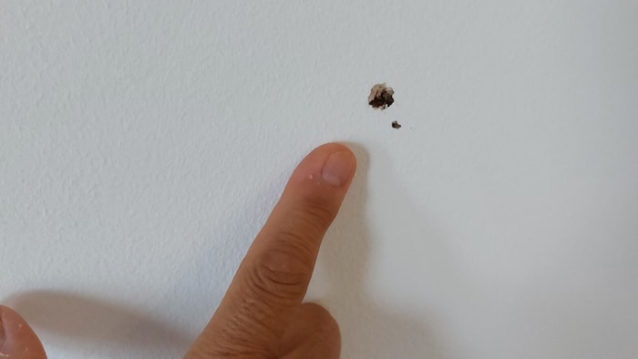 Zahlreiche Flecken befanden sich an den Wänden.