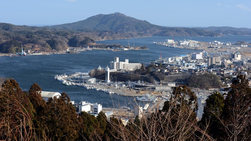 Die Hafenstadt Kesennuma im Nordosten Japans (Bild: AFP)