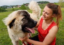 Gerettet statt abgenommen: Einer der ersten Hunde, der auf Gut Aiderbichl aufgenommen wurde. (Bild: Tschepp Markus)