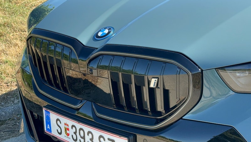 This version of the kidney grille is one of the nicer ones. (Bild: Stephan Schätzl)