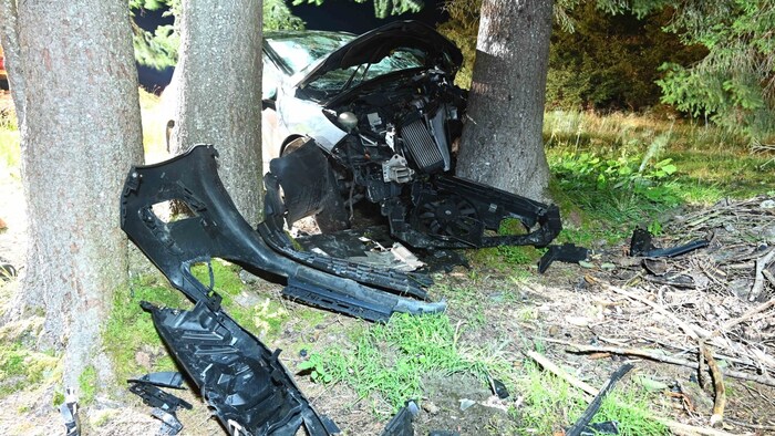The car crashed into a group of trees.
