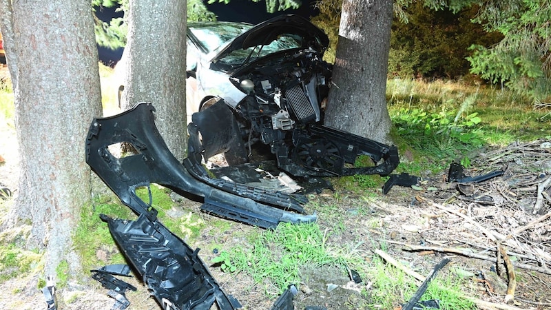 The car crashed into a group of trees. (Bild: Kapo St. Gallen)