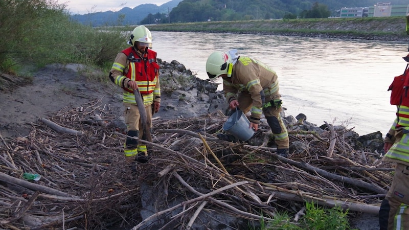 (Bild: Feuerwehr Lustenau)