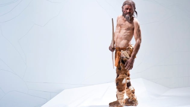 Using state-of-the-art technology, Dutchmen Adrie and Alfons Kennis have reconstructed a convincing model of the man who died in the glacier around 5300 years ago. (Bild: Südtiroler Archäologiemuseum/foto-dpi.com)