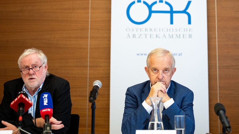 From the left: Edgar Wutscher, Vice President of the Medical Association, and President Johannes Steinhart (Bild: APA/Georg Hochmuth)