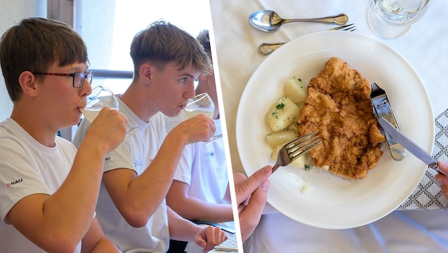 Ein klassischen Schnitzerl wurde beim Knigge-Essen für die Lehrlinge serviert. Tipp vom Profi: Gläser, die einen Stiel haben, auch immer dort zu halten – die Lehrlinge zeigen’s vor. (Bild: Krone KREATIV/Attila Molnar)