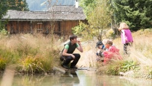 Das Tourismusland Vorarlberg hat auch im Sommer sehr viel zu bieten. Immer mehr Gäste lernen die ...