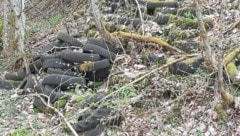 Dutzende alte Reifen von Autos und Landmaschinen entdeckten Urlauber in einem Wald in der Gemeinde Landl. (Bild: zVg)