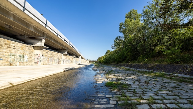 From fall 2025, cobblestones and concrete will also disappear here. (Bild: Stadt Wien / Wiener Gewässer)