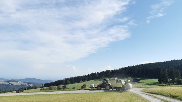 The man was mowing a meadow and allegedly killed the animals in the process. (Bild: zVg)