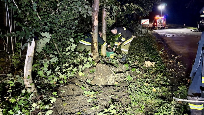 Der  Pkw hatte einen richtiggehenden EInschlag verursacht