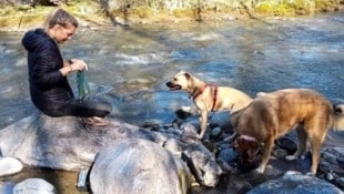 In Oberkärnten werden Tiere einfach abgegeben. (Bild: zVg)