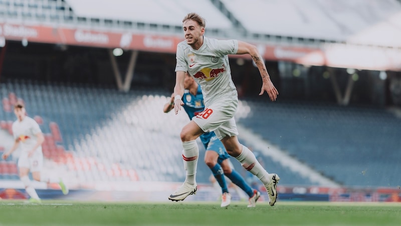 Nicolo Turco (Bild: 2024 Dominik Angerer - FC Liefering)