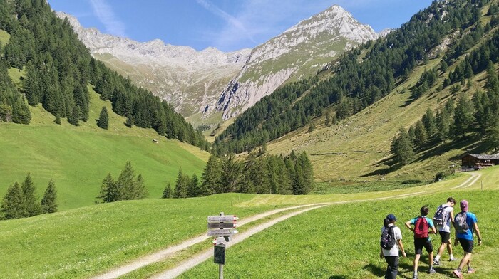 Nach der Bodenalm führt die Route zunächst durch herrliche Wiesen – im Hintergrund das ...