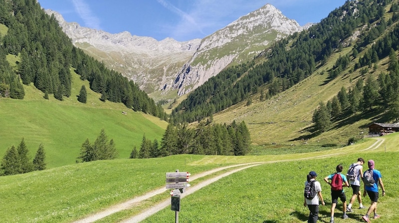 After the Bodenalm, the route initially leads through beautiful meadows - with the Weißsteinkar in the background. (Bild: Peter Freiberger)