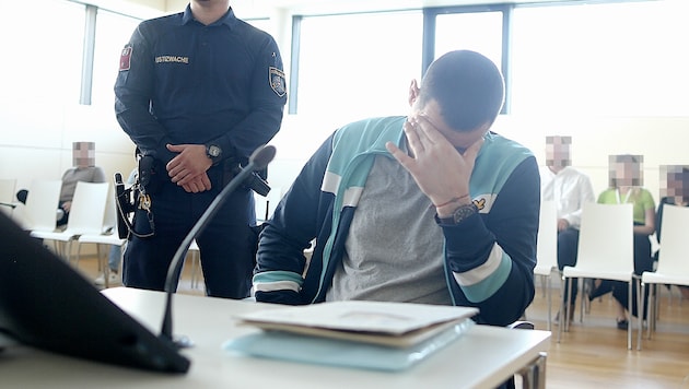 The Bulgarian (37) is charged with a brutal home invasion. (Bild: Bartel Gerhard/Gerhard Bartel, Krone KREATIV)