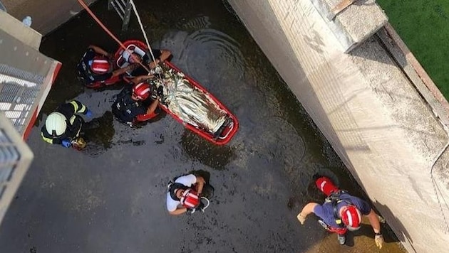 While working in the composting plant, the 50-year-old fell into the seven-metre deep pool (Bild: FF Gallneukirchen)