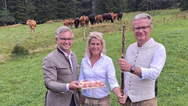 Hostess Isabella Kaltenegger with LH Christopher Drexler and Finance Minister Magnus Brunner in front of a breathtaking backdrop and unimpressed cows (Bild: Christa Blümel)