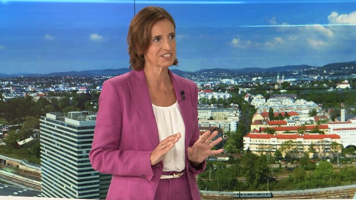 Indra Collini, regional party leader of NEOS Lower Austria in the krone.tv talk